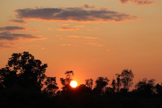 Breathtaking sunset casting an orange glow over silhouetted trees and clouds.