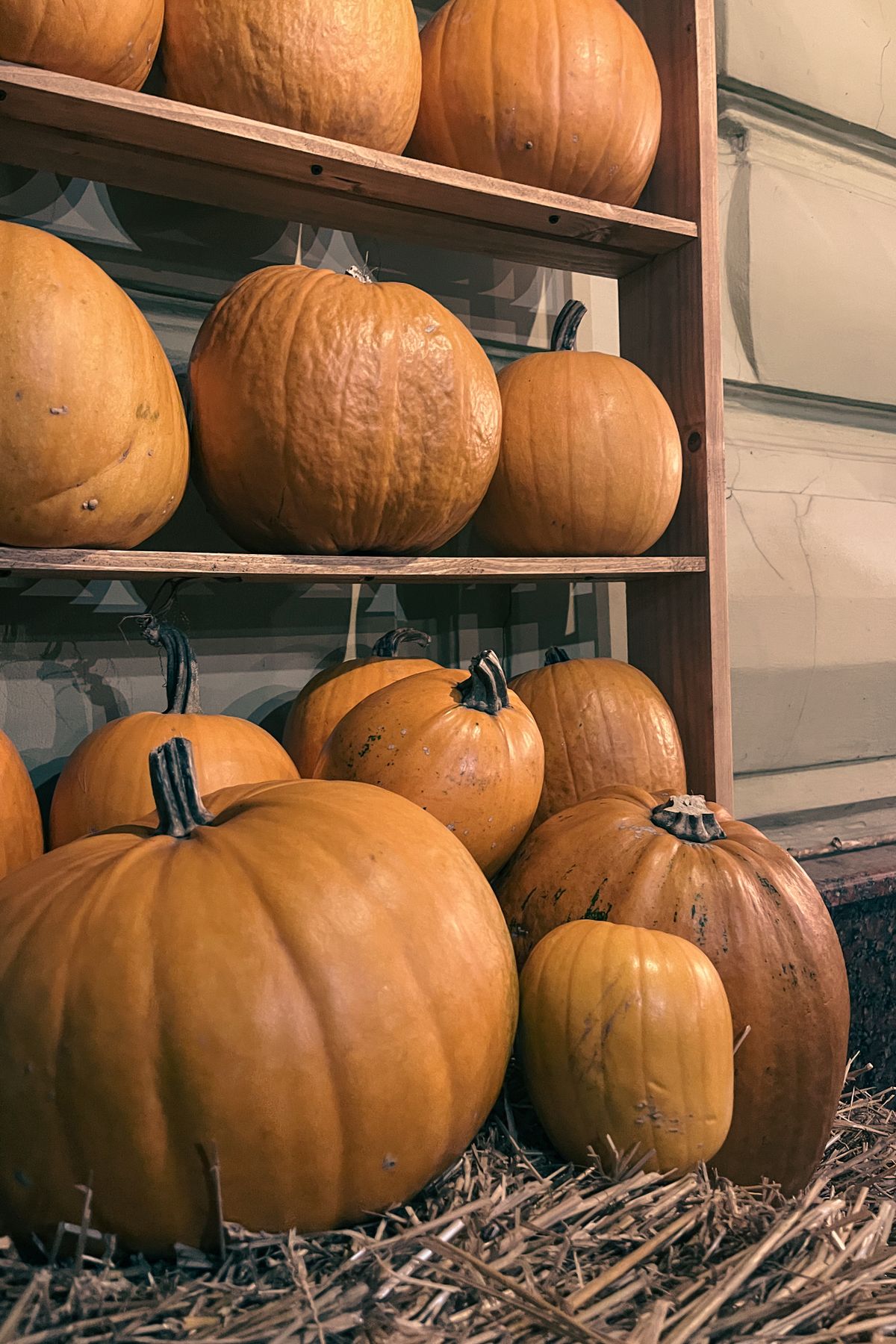 Variety of pumpkins displayed on a straw mat, perfect for autumn harvest themes. Stock Photo.