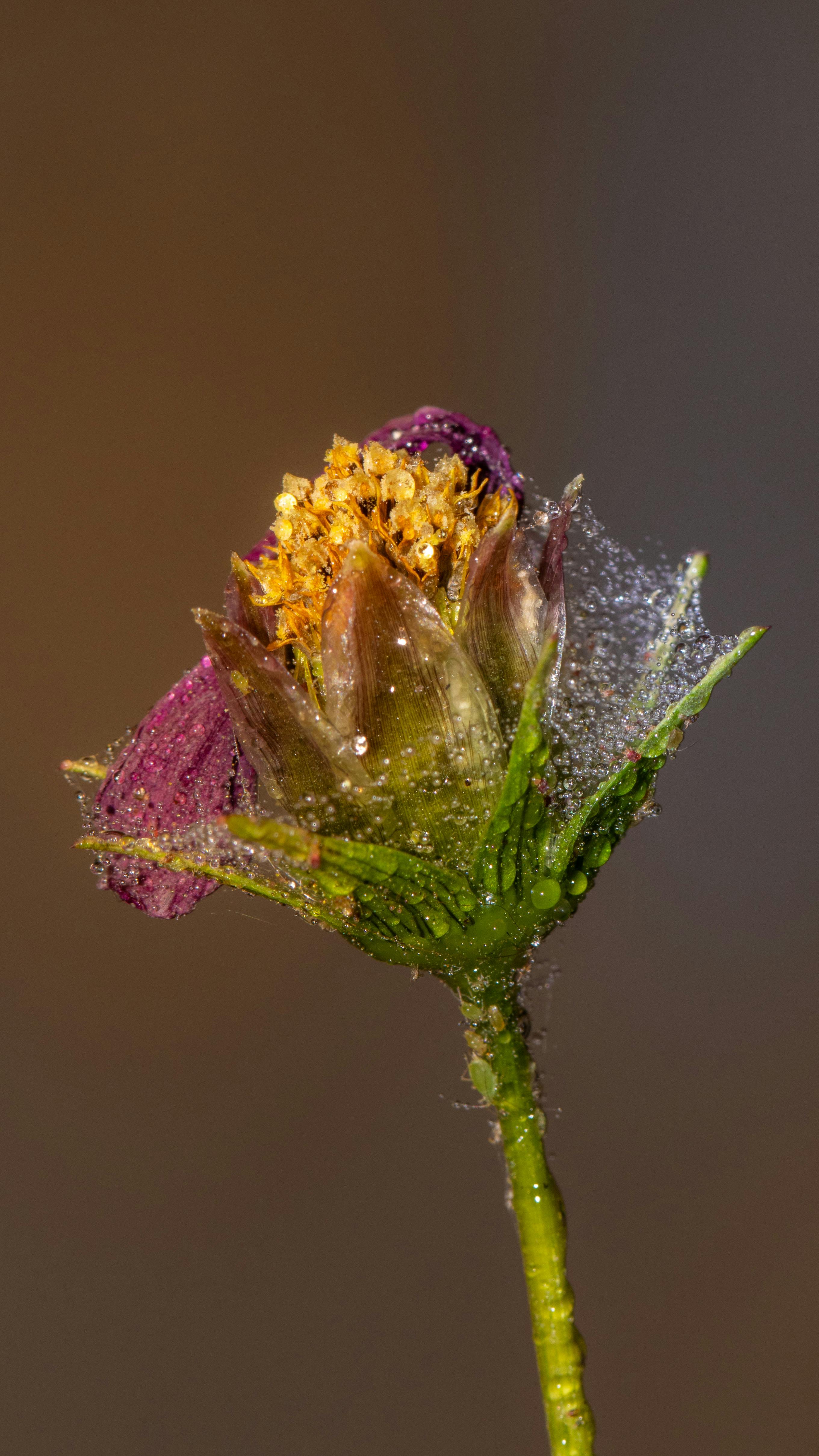 다양한 디퓨저의 종류