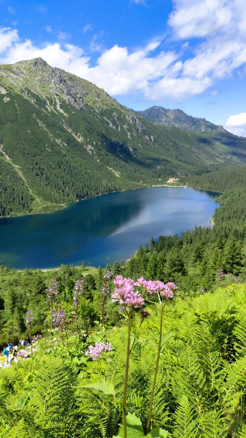 Free Breathtaking view of the Tatra Mountains and a serene lake from Zakopane, Poland. Stock Photo