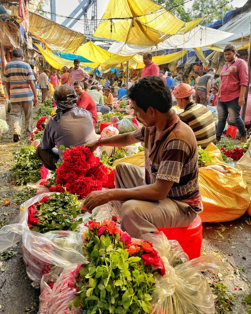 Free Colorful flower market bustling with activity, featuring vibrant red blooms under a sunny outdoor canopy. Stock Photo