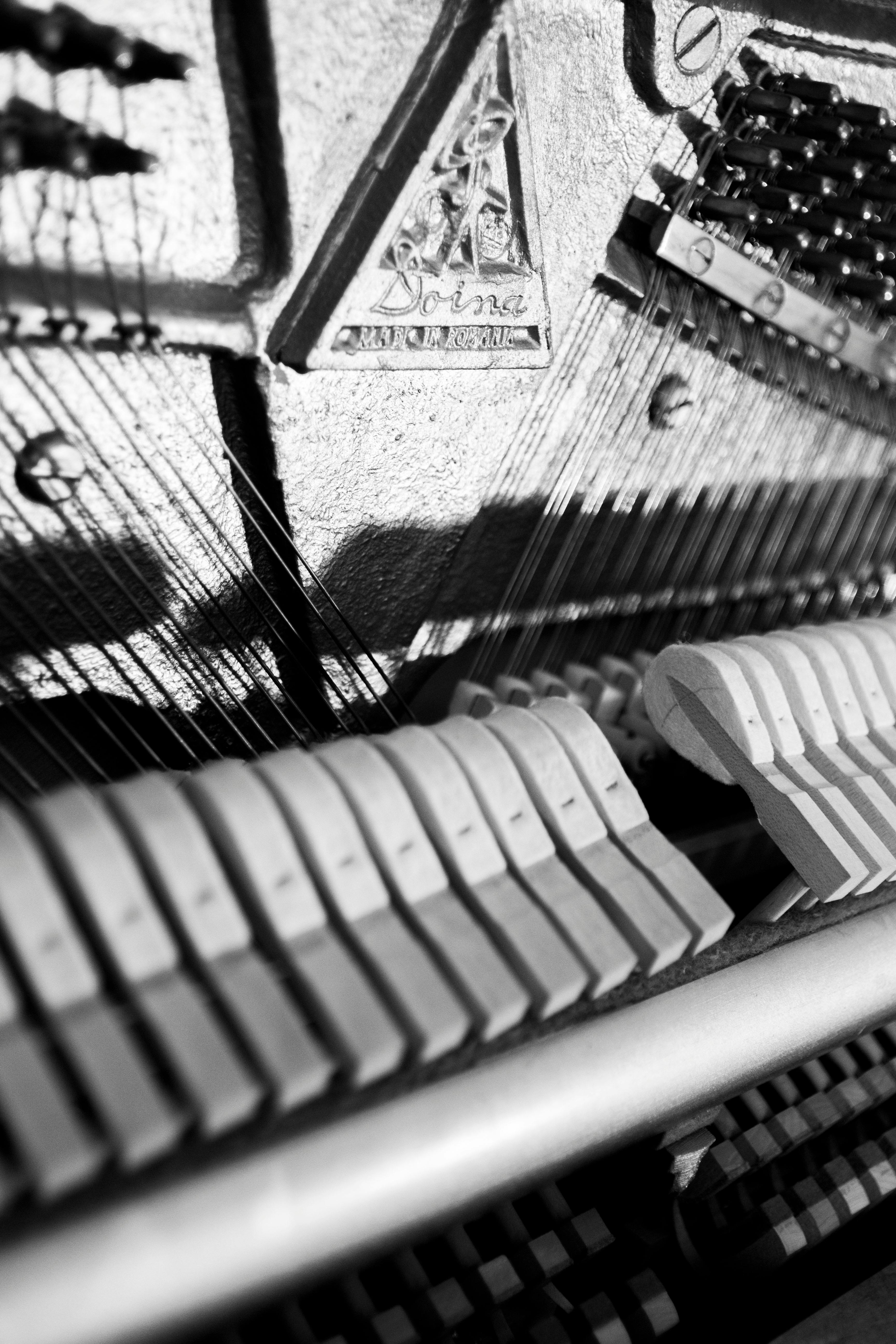 Free stock photo of classical, music, piano