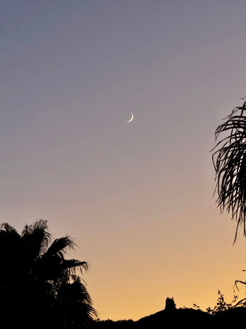 Free Captivating crescent moon in a twilight sky over Cádiz, enhanced by silhouetted palm trees. Stock Photo