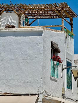 Explore the charming, whitewashed architecture typical of Cádiz, Spain, with vibrant red flowers and blue sky.