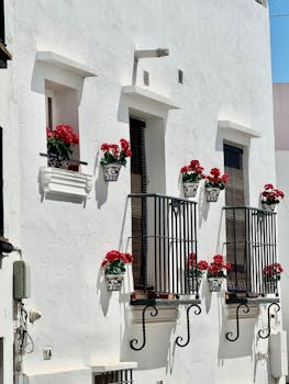 Whitewashed Andalusian facade with vibrant red geraniums on balconies, capturing a sunny day in Cádiz.