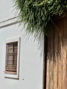 Sun-drenched wall with wooden door and window grill in Cádiz, showcasing Andalusian style.