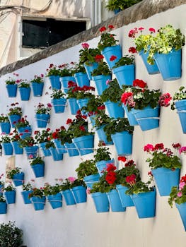 Colorful flower pots on a white wall in sunny Málaga, capturing a vibrant Spanish street scene.