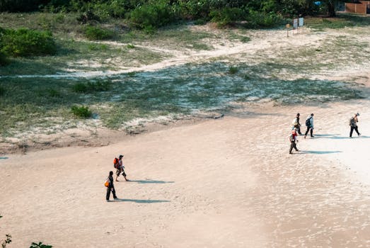 Aerial view of multiple hikers walking on a sandy beach with lush greenery, showcasing adventure and exploration.