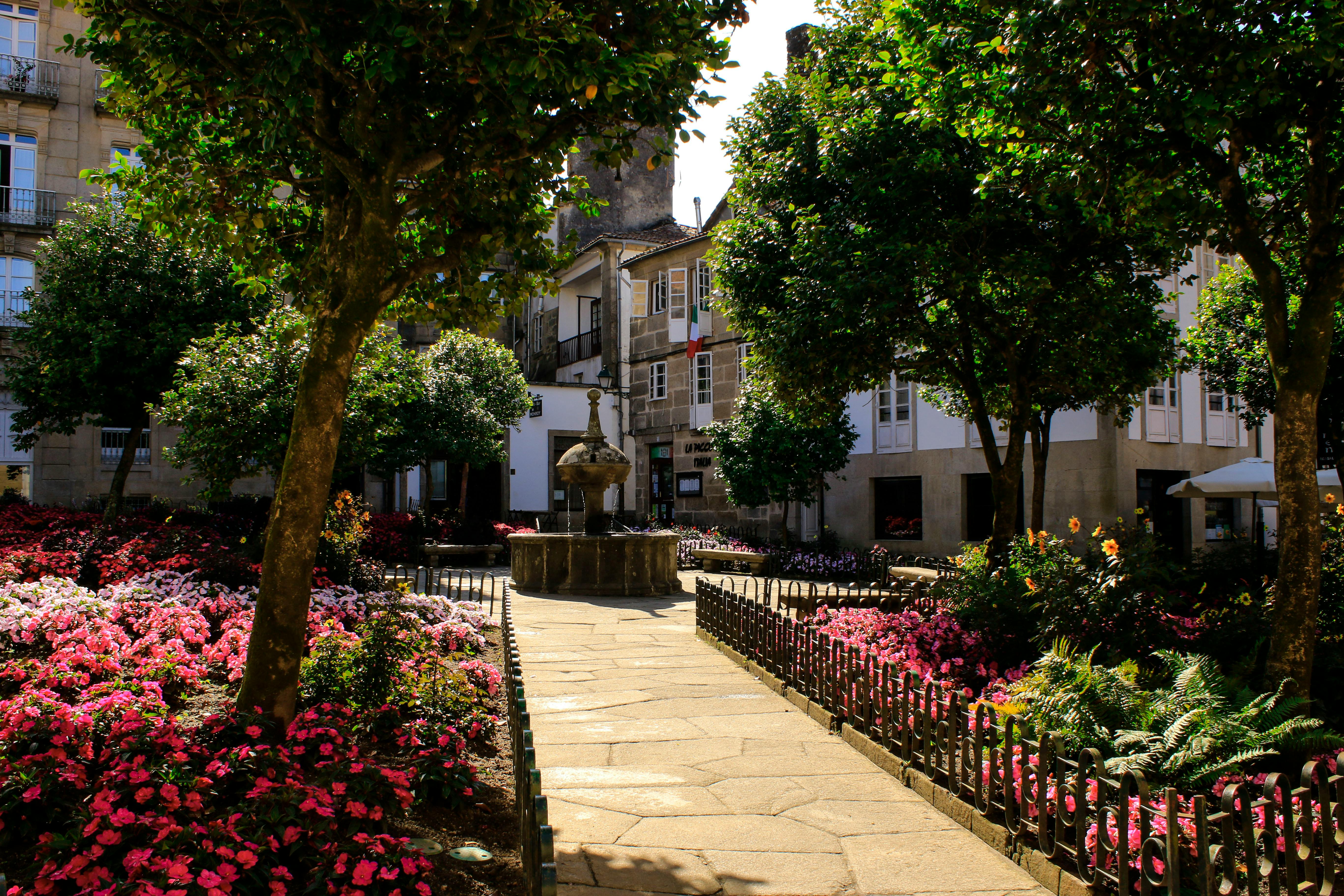 Gratis Hermoso jardín en Santiago de Compostela con flores vibrantes y arquitectura histórica. Foto de stock