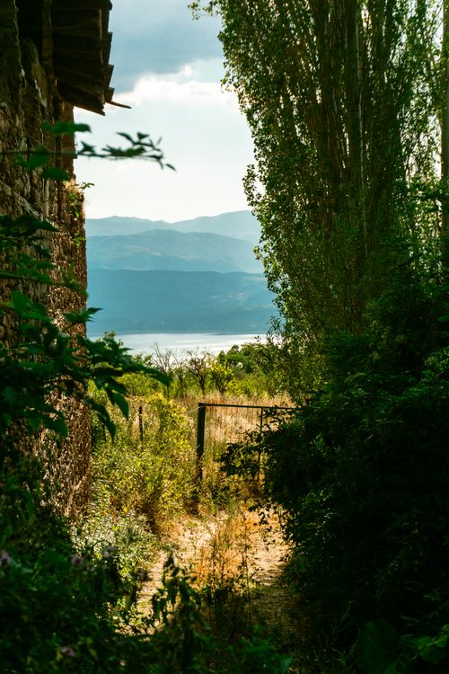 Free A serene pathway in summer leading to a mountain and lake view, surrounded by greenery. Stock Photo