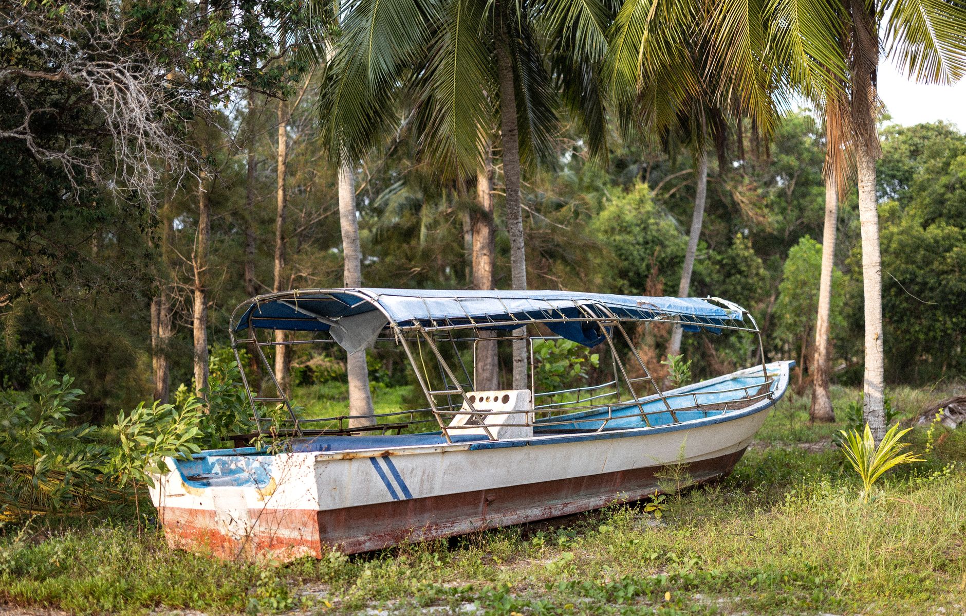 Bako National Park