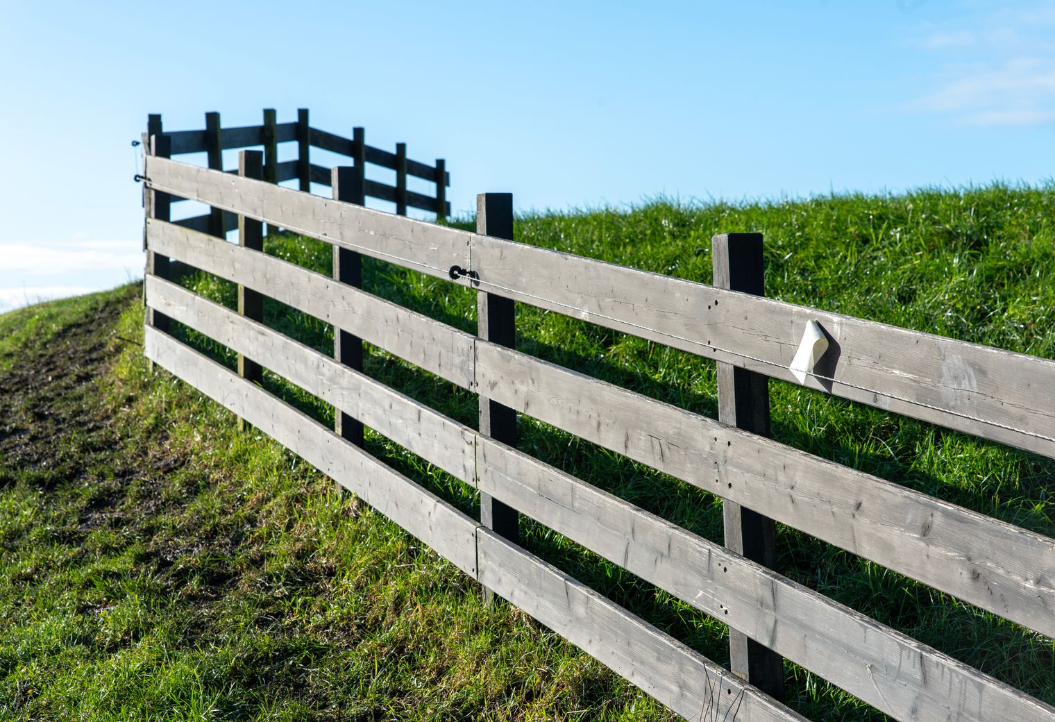 Fence and Decking Painting in Barking — quality trade paint going on in two coats
