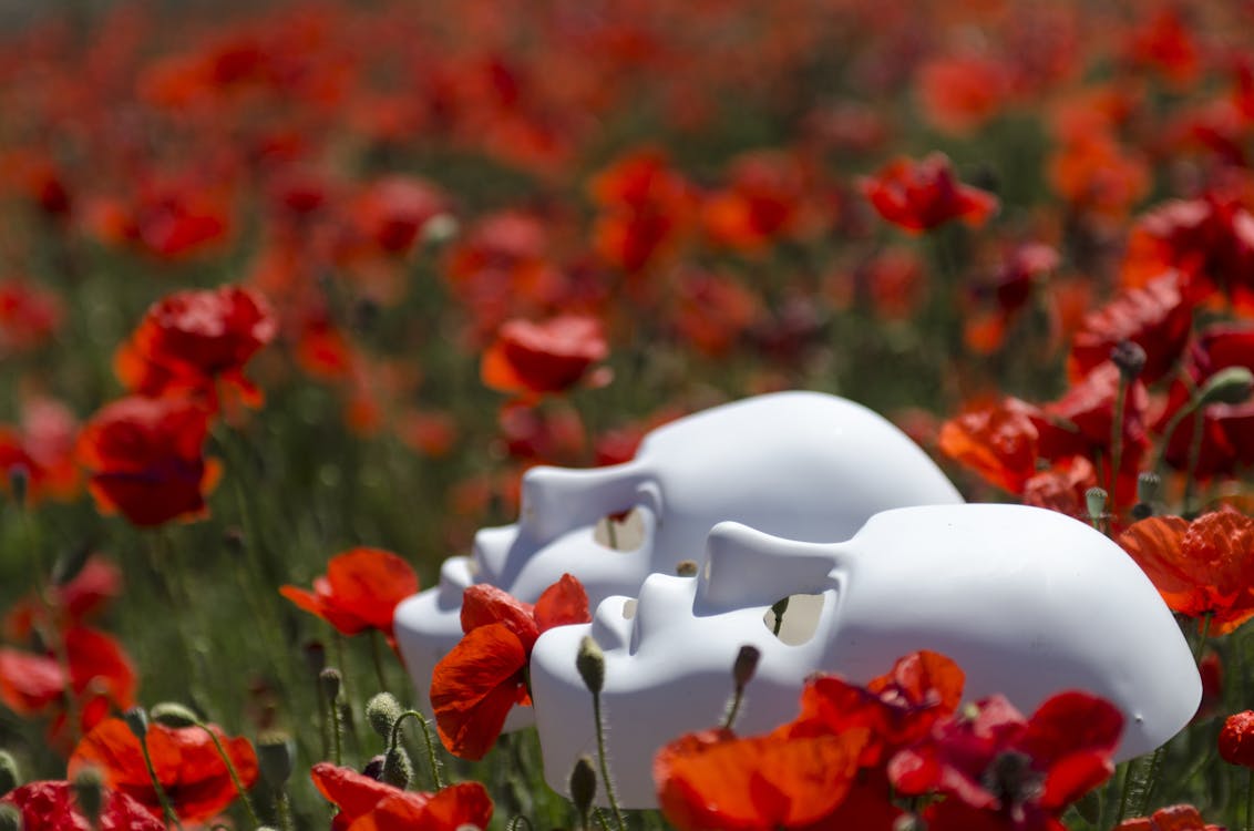 Dos Máscaras Blancas Sobre Amapolas Rojas