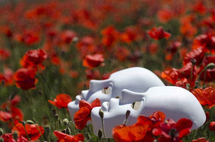 Two White Masks On Red Poppy Flowers