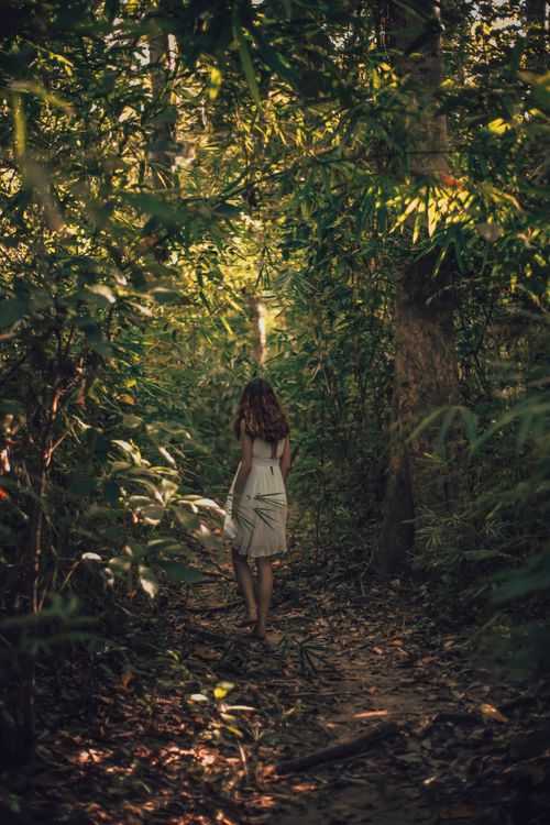 Free Woman strolling on a tranquil forest path surrounded by lush greenery. Stock Photo