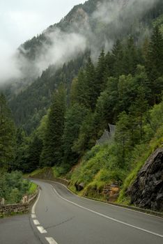 Serene misty mountain road surrounded by lush green forest in Kärnten, Austria, ideal for travel and adventure.