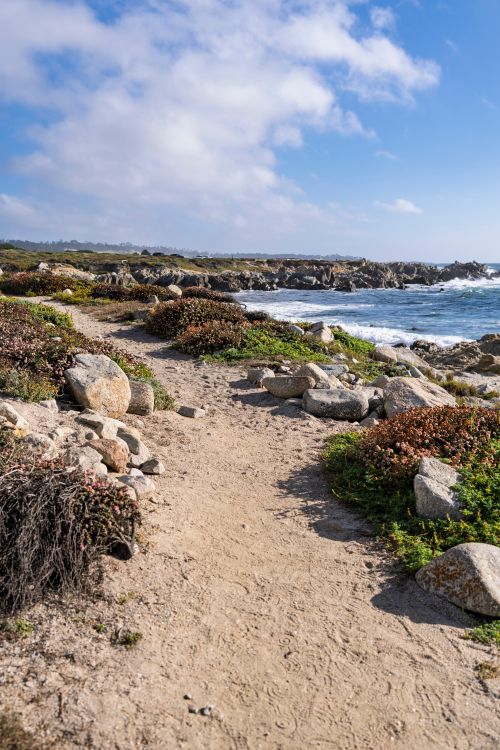 Free Discover the rugged beauty of Monterey's coastline, featuring a serene sandy path by the ocean. Stock Photo
