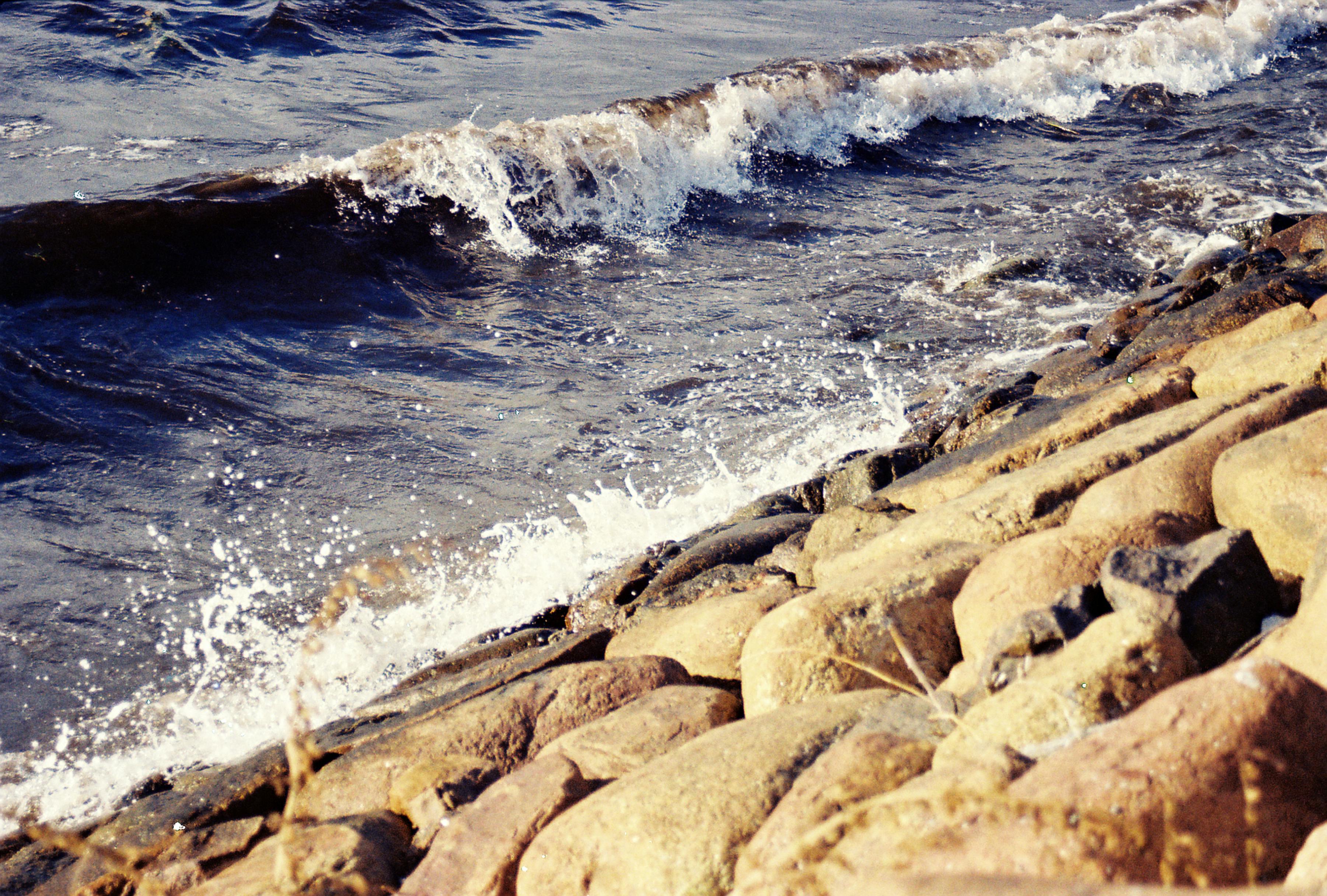 Baltic Sea coastline where amber is found - certified Baltic amber