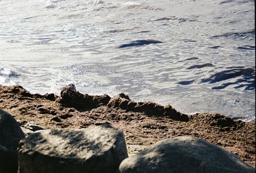 Free Rocky shoreline at Gdańsk beach with Baltic Sea waves in sunlight. Stock Photo