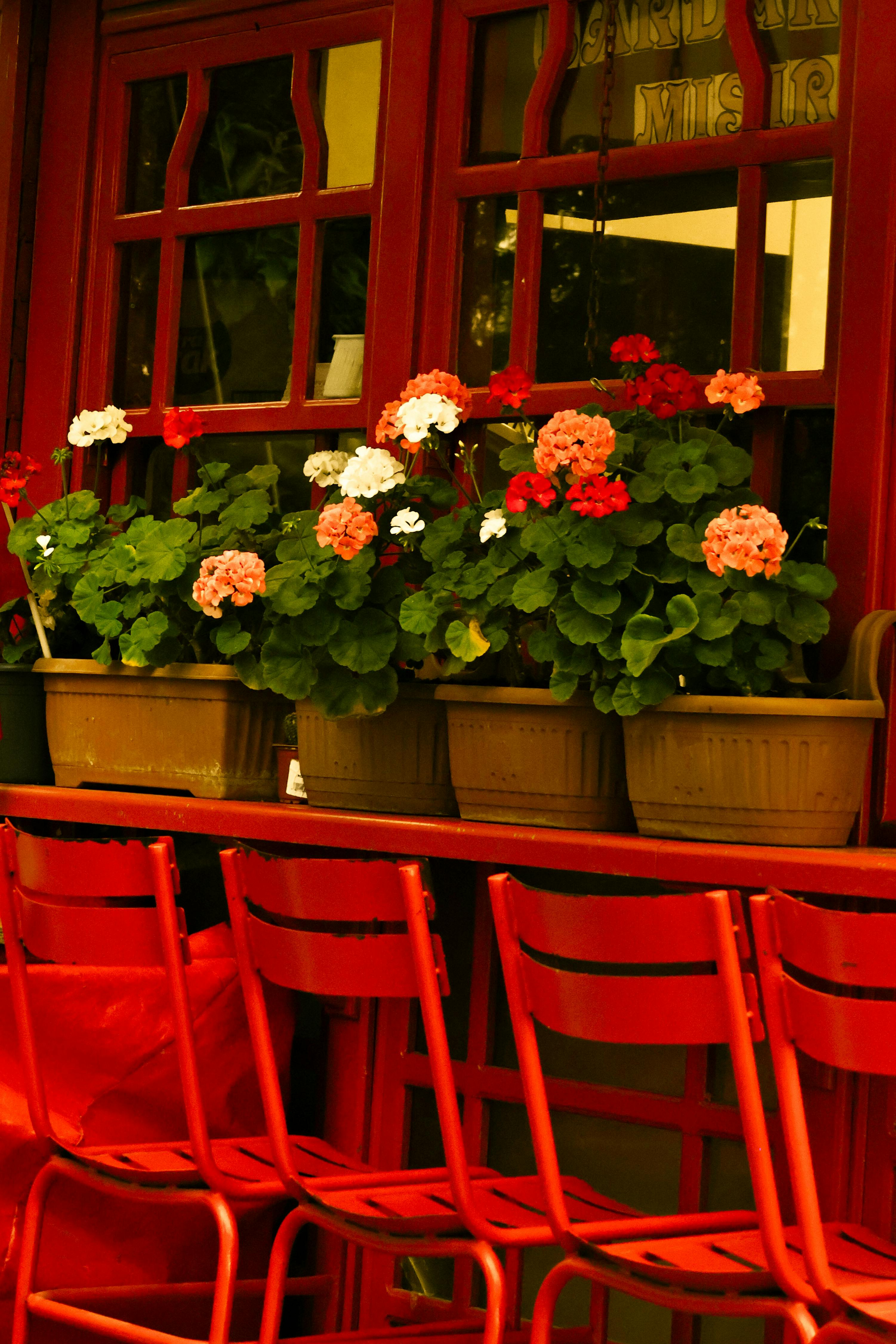[ColoSach]-red-cafe-setting-with-vibrant-geraniums-in-pots,-perfect-for-a-charming-outdoor-ambiance.