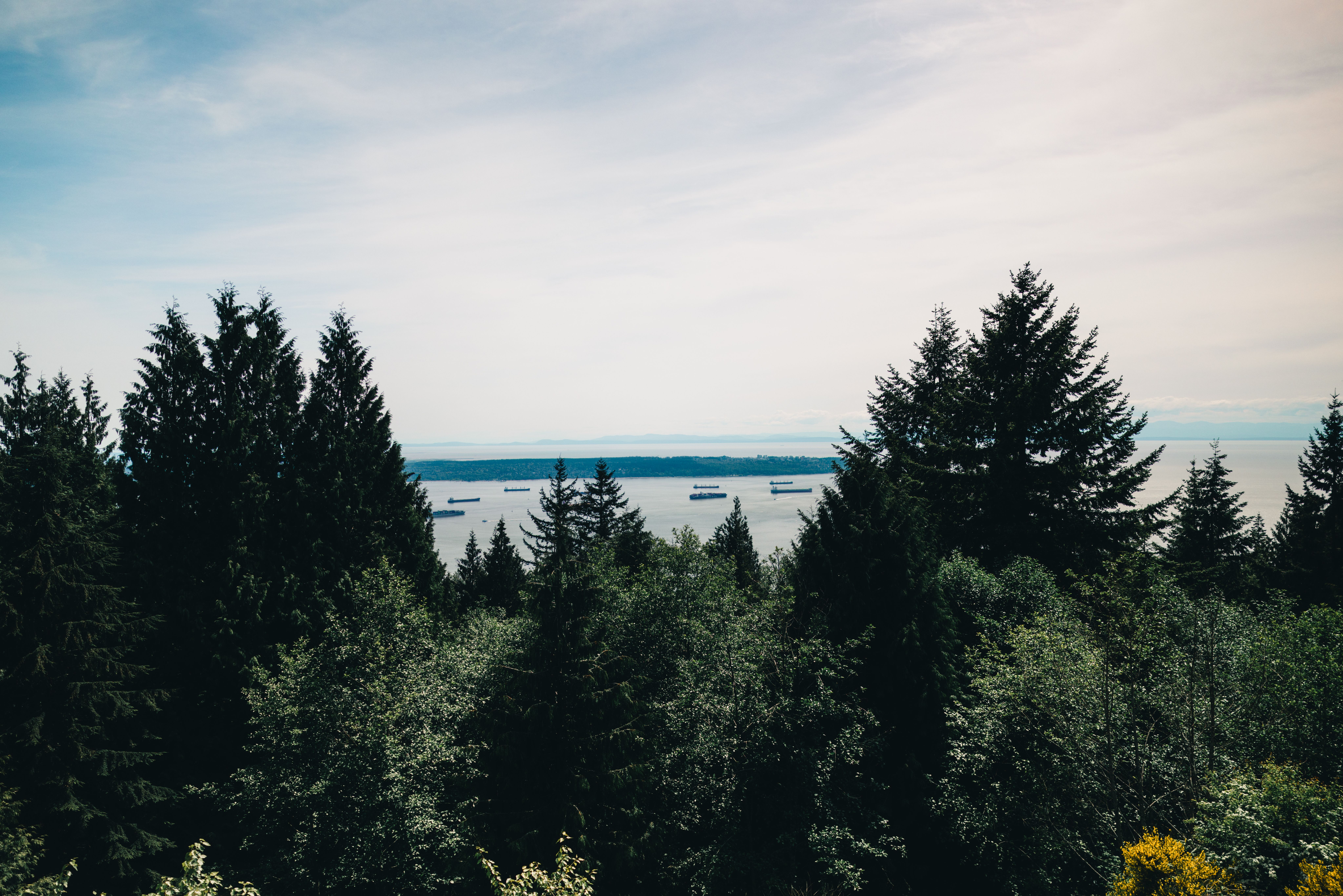 Scenic view of evergreen forest and ocean horizon with ships near Vancouver, BC.