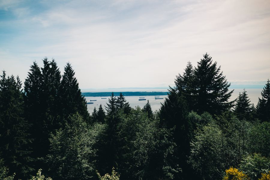 Evergreen forest meeting the Pacific near Vancouver