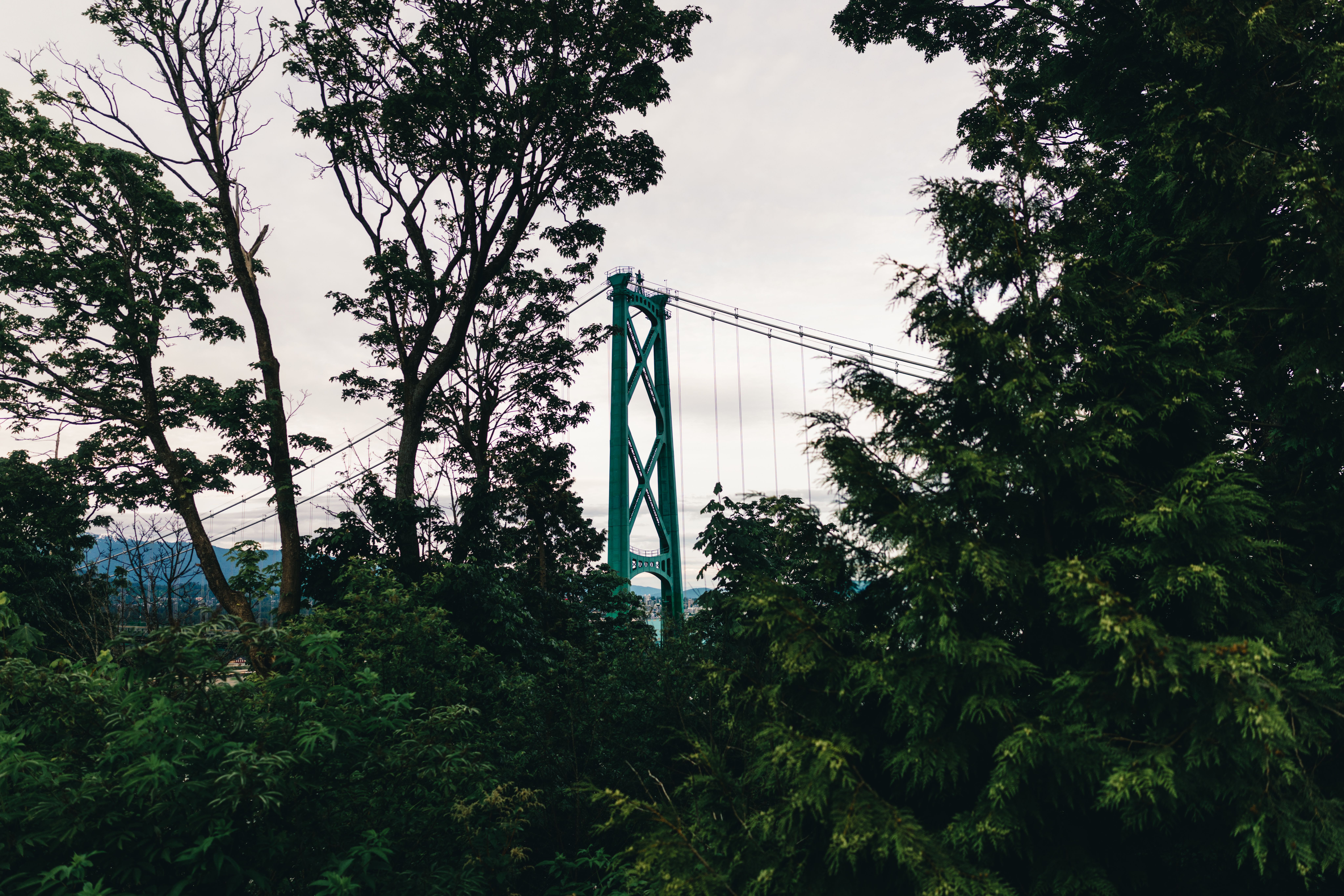 Gordie Howe Bridge Opening Sends a Trade-Confidence Signal for Canadian Real Estate