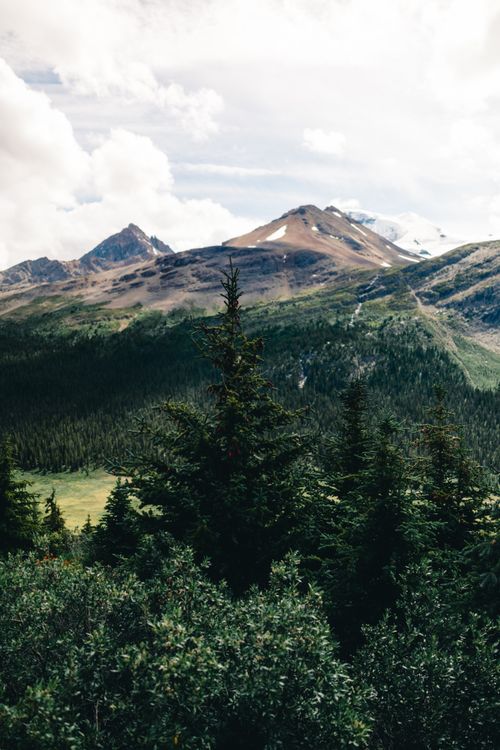 Free Majestic mountains and lush forest captured in Jasper National Park, Alberta. Stock Photo