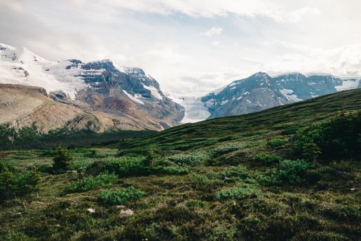 Breathtaking landscape of mountains in Jasper National Park, Alberta, Canada showcasing nature's beauty.