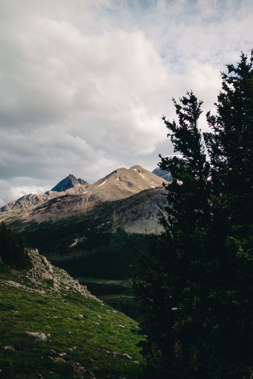 Free Breathtaking landscape of mountains and forest in Jasper National Park, Alberta, Canada. Stock Photo