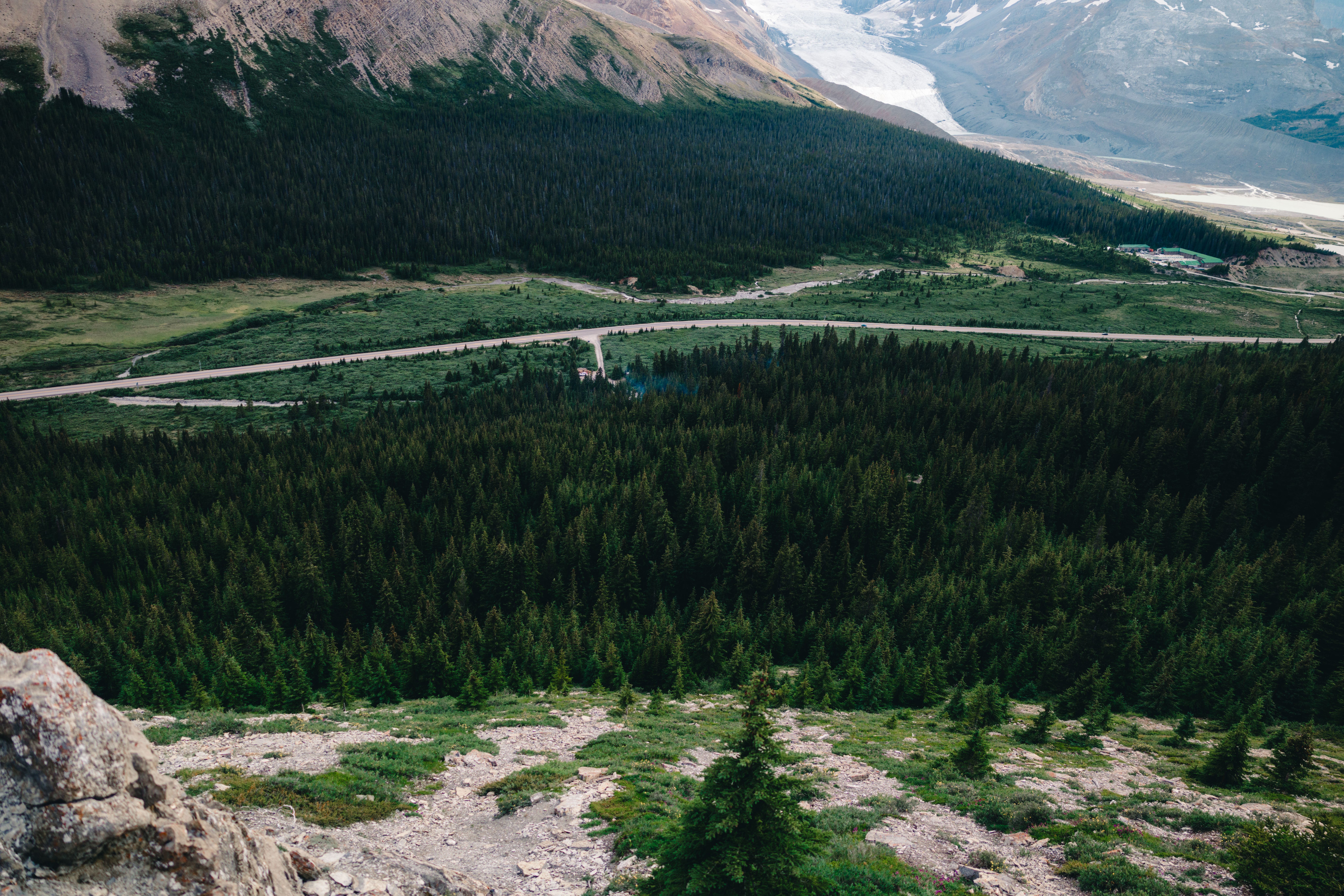 Unforgettable Hiking Trails in Canadian Rockies: Your Guide