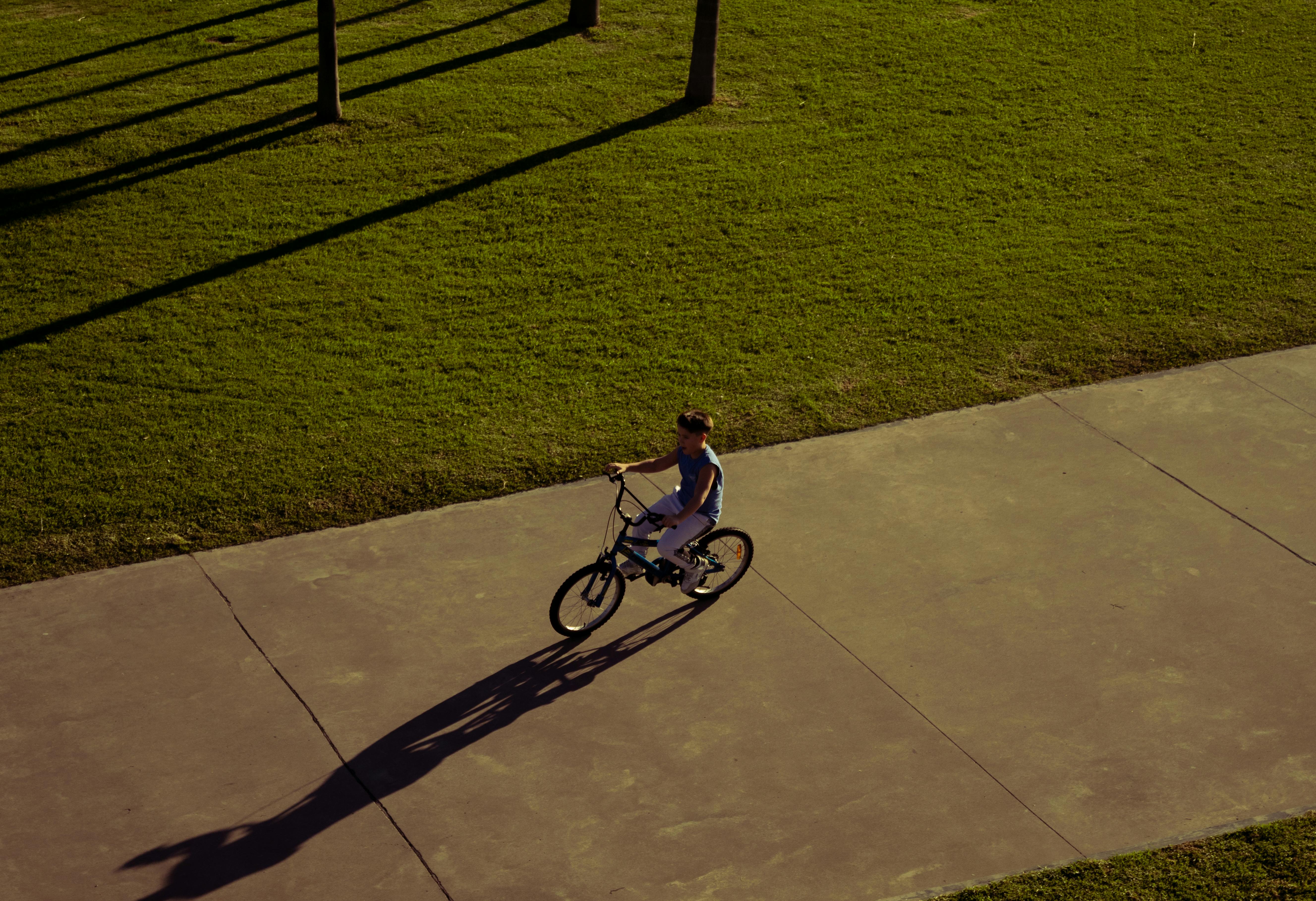 A young boy rides his bicycle along a concrete path in a sunlit park.