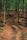 trail