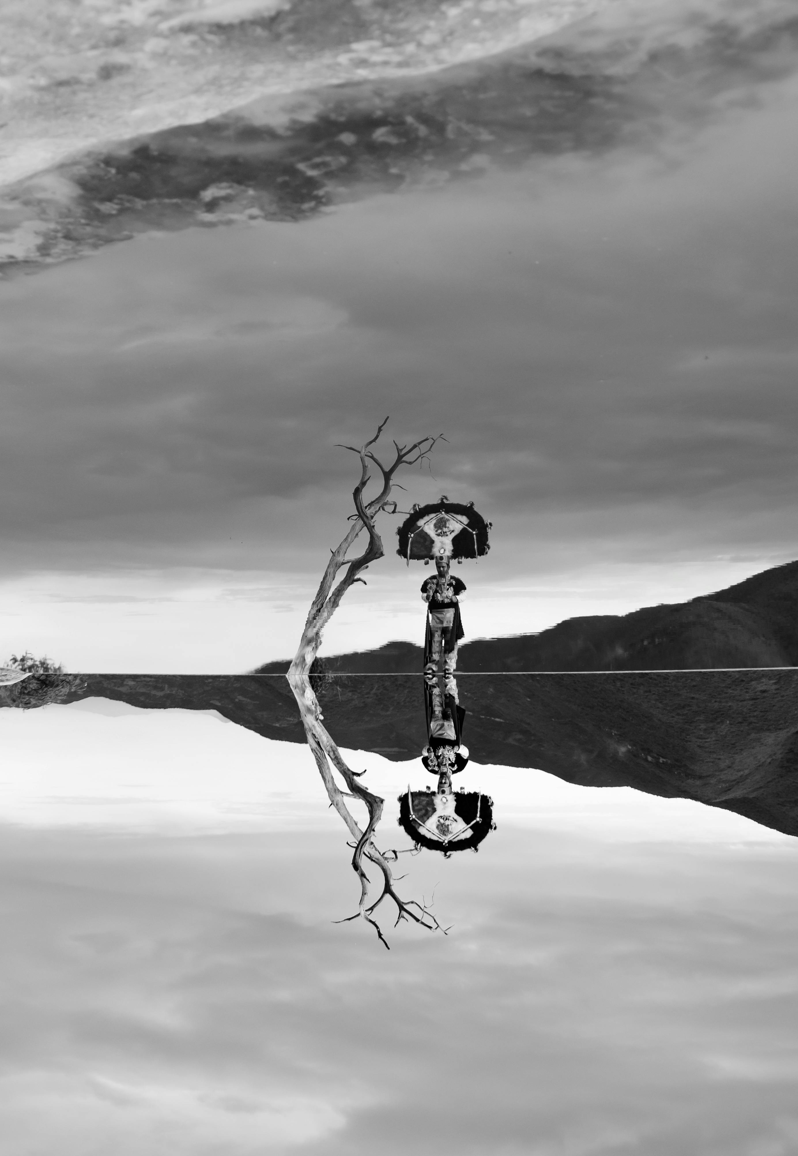 A dramatic black and white reflection captures a lone tree in Oaxaca de Juárez, Mexico.
