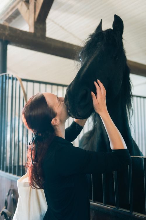 Free A woman shows affection to a black horse in a stable. Warm, intimate moment captured indoors. Stock Photo