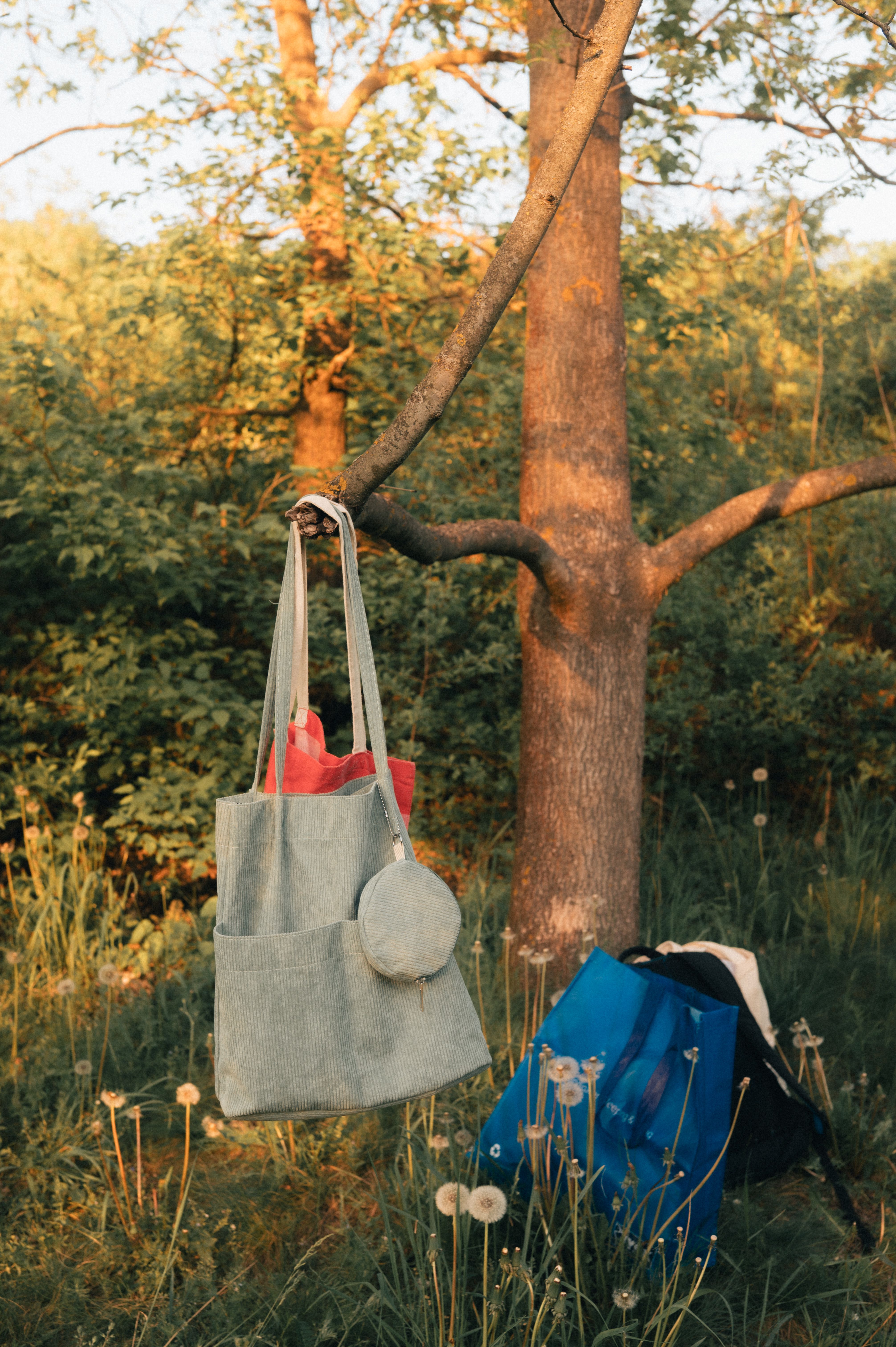 Bolsa de Praia