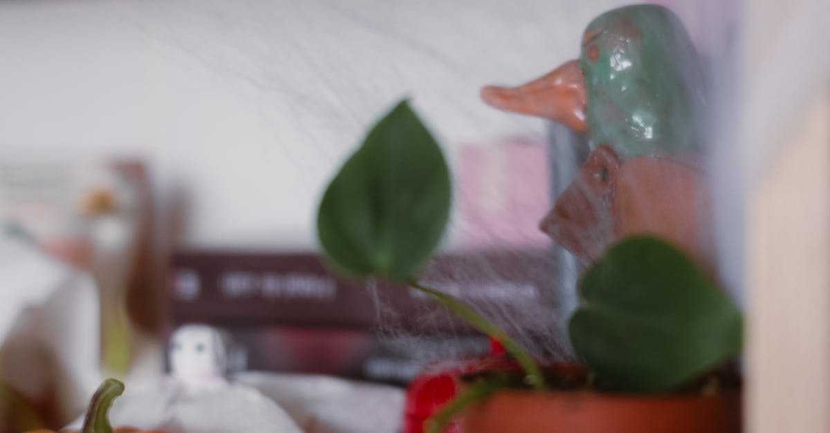 日本國際交流基金會世界巡迴展 燒締 瞬息萬變的土 高雄文化中心熱鬧開展