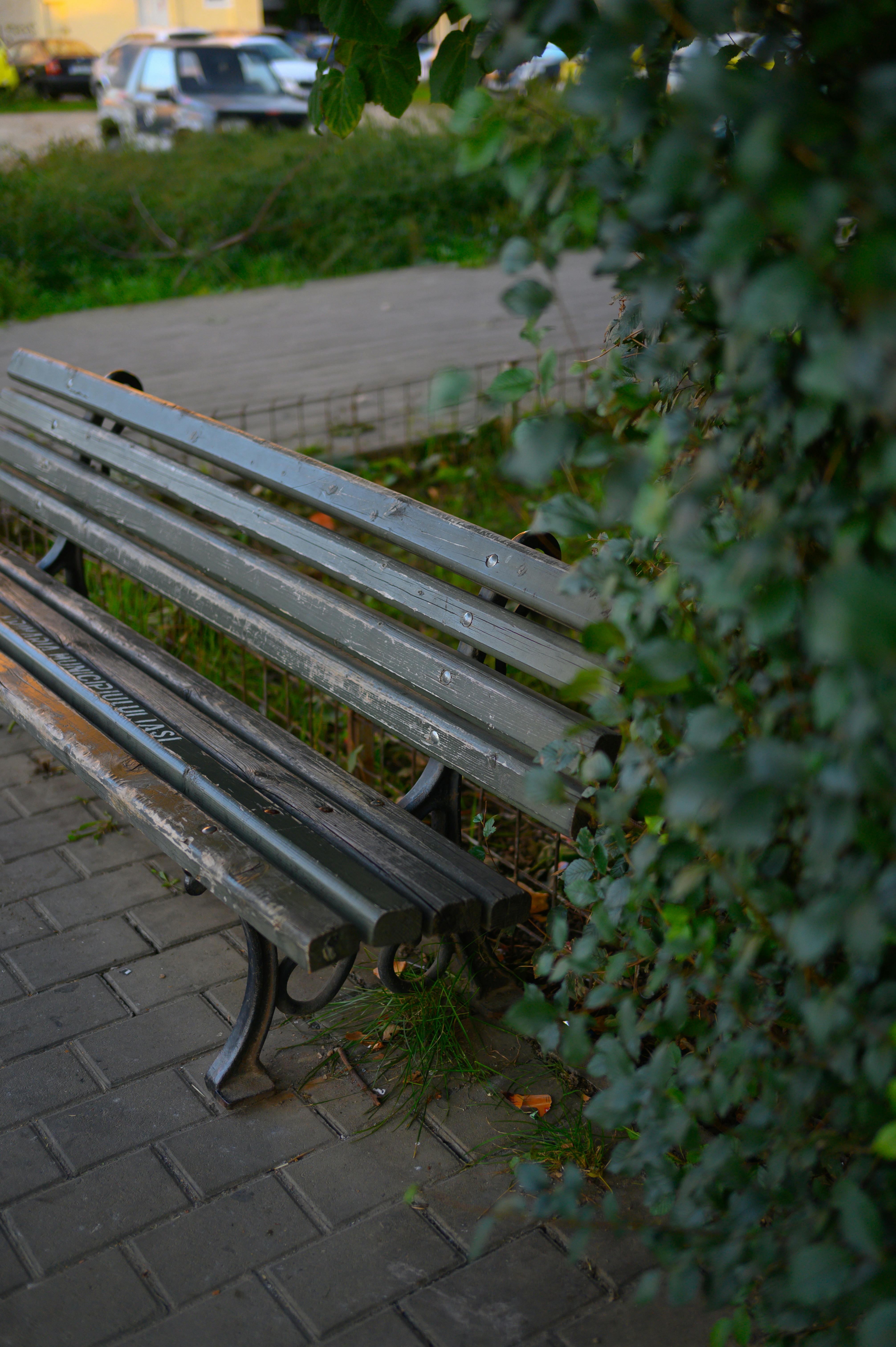 Gratuit O bancă de parc din lemn înconjurată de verdeață, pe o alee pavată din oraș. Fotografie de stoc