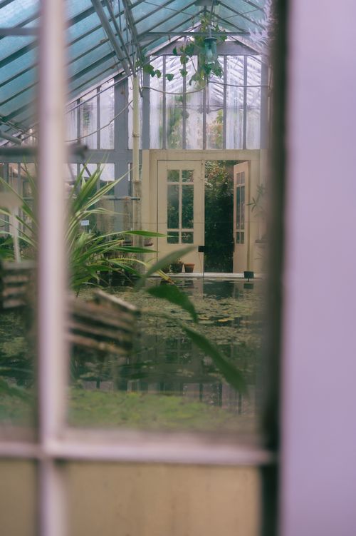 Free Peaceful view inside a greenhouse with a glass roof showcasing plants and open doors. Stock Photo
