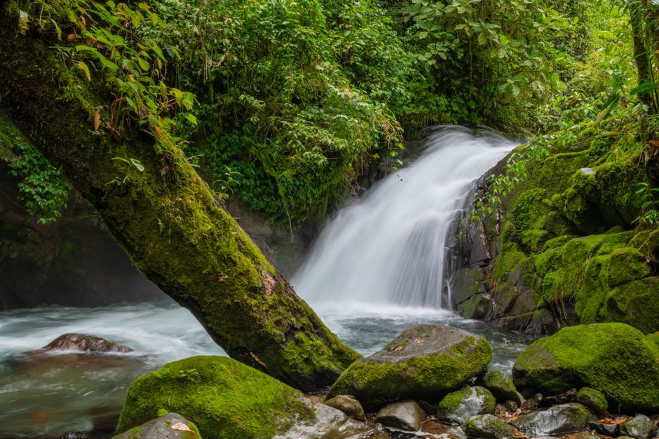 Pacuare River, Costa Rica - travel photo