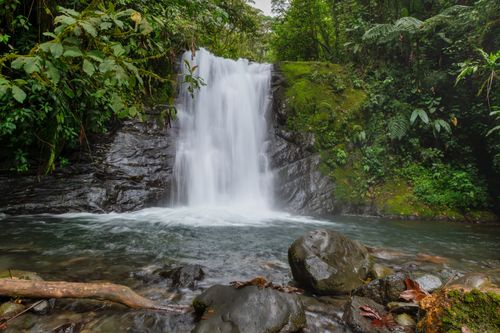 Free Breathtaking view of a waterfall cascading through lush green rainforest in Costa Rica. Stock Photo
