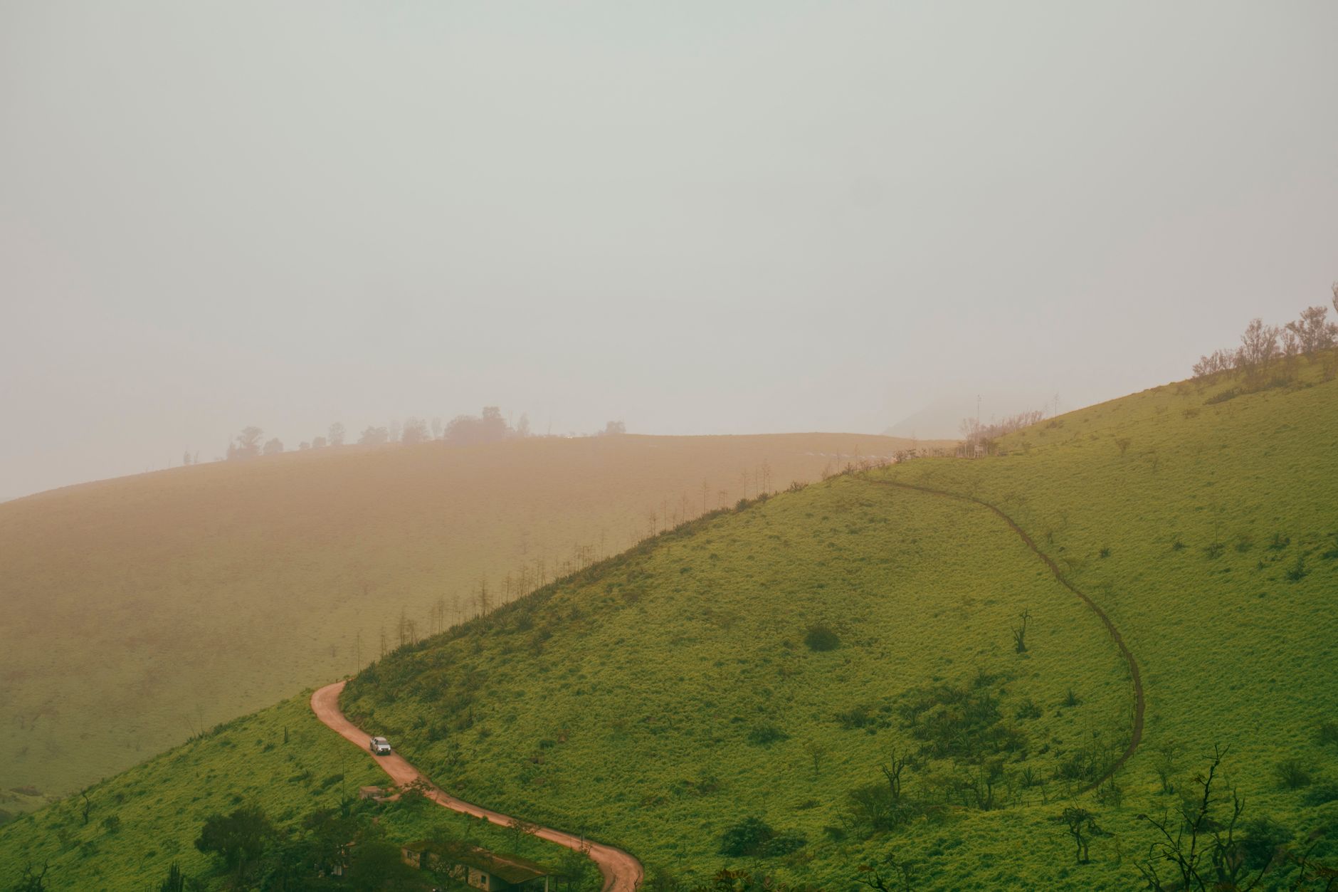 Best Time to Visit Chikmagalur: Month-by-Month Guide