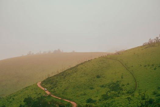 Explore serene misty hills with lush greenery and a winding dirt road.
