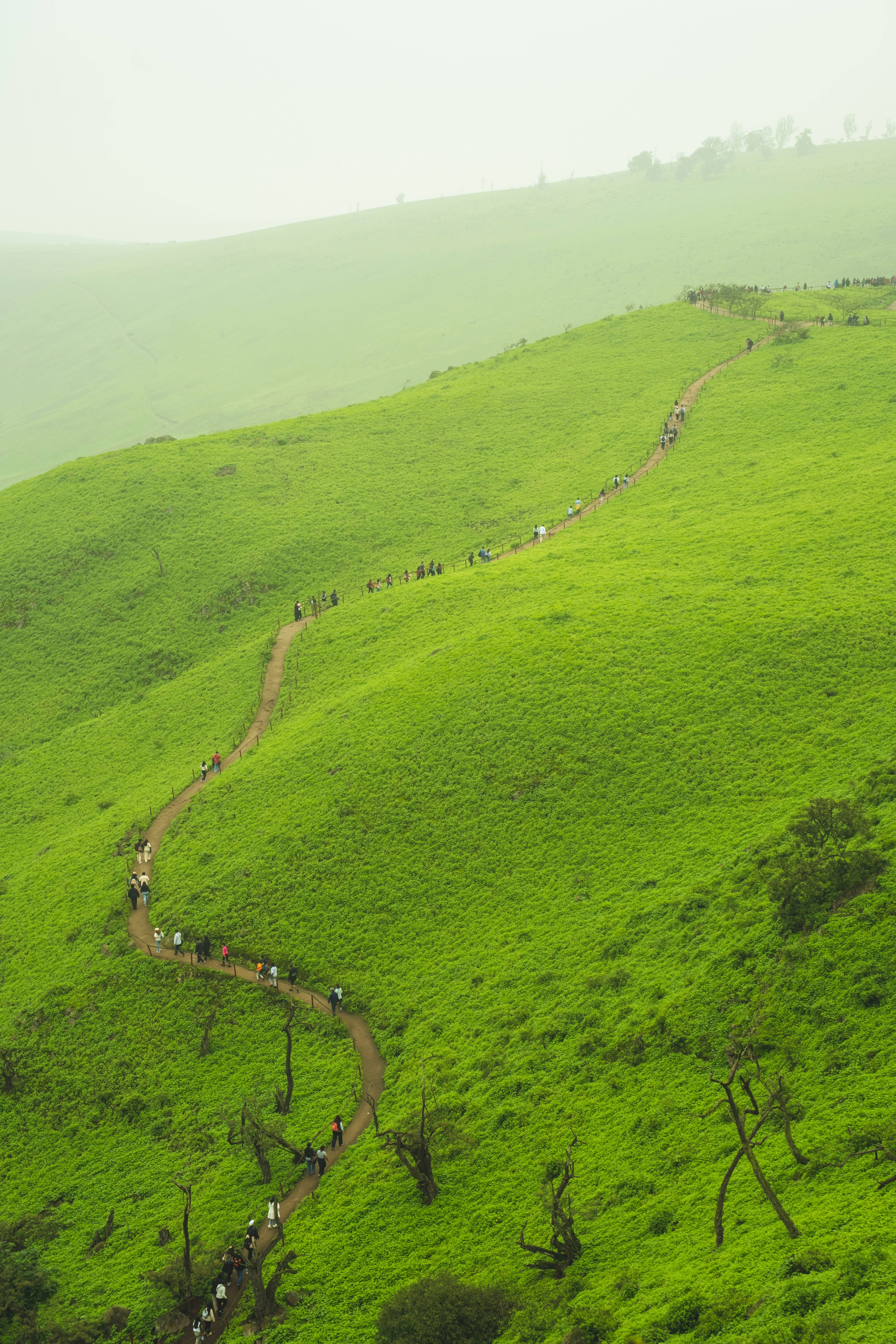 Hiking Trail Through Lush Green Hills · Free Stock Photo