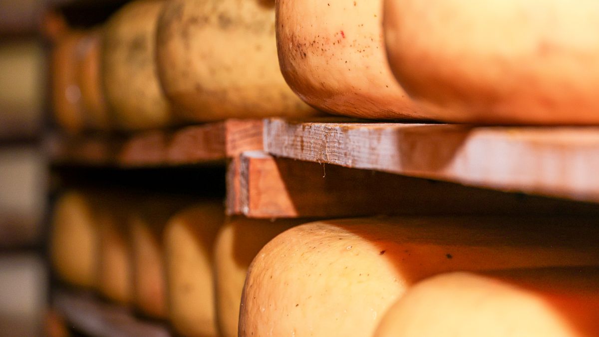 Artisans locaux : soutenir léconomie circulaire
