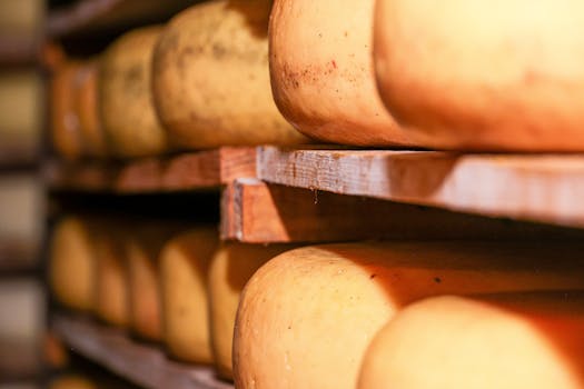 Close-up of Dutch cheese wheels maturing on shelves in a traditional cellar.