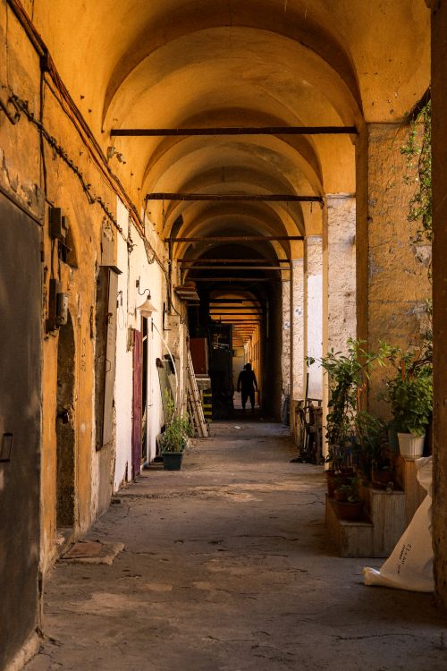 Free A picturesque arched corridor with warm tones and decorative plants. Stock Photo