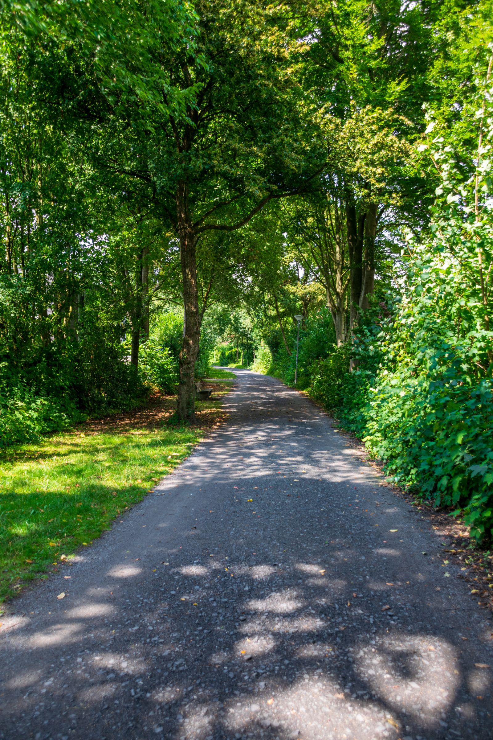 The Best Places to Walk in White Rock and South Surrey Year Round