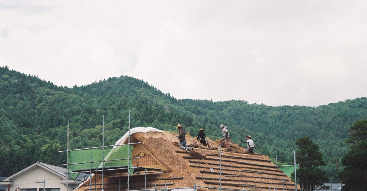 日本農漁村旅遊增多原因解析 日本农漁村旅游增多原因解析