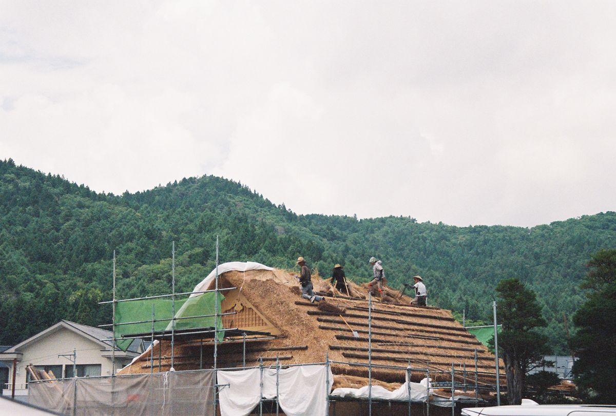 Traditional Japanese thatched-roof house surrounded by trees, reminiscent of Sado's rural villages